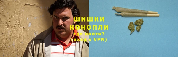 прущие грибы Снежинск