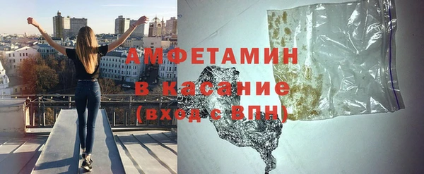 прущие грибы Снежинск