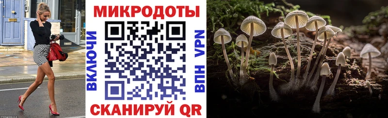 Галлюциногенные грибы мухоморы  Купить закладки  Кочубеевское 